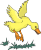 Duck Landing Clip Art